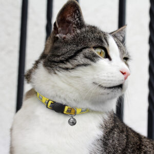 ST-125072 Amigo Cat Collar - Image 2
