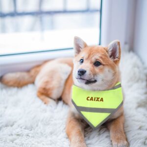 ST-REFBANDANA Reflective Pet Bandana - Image 2